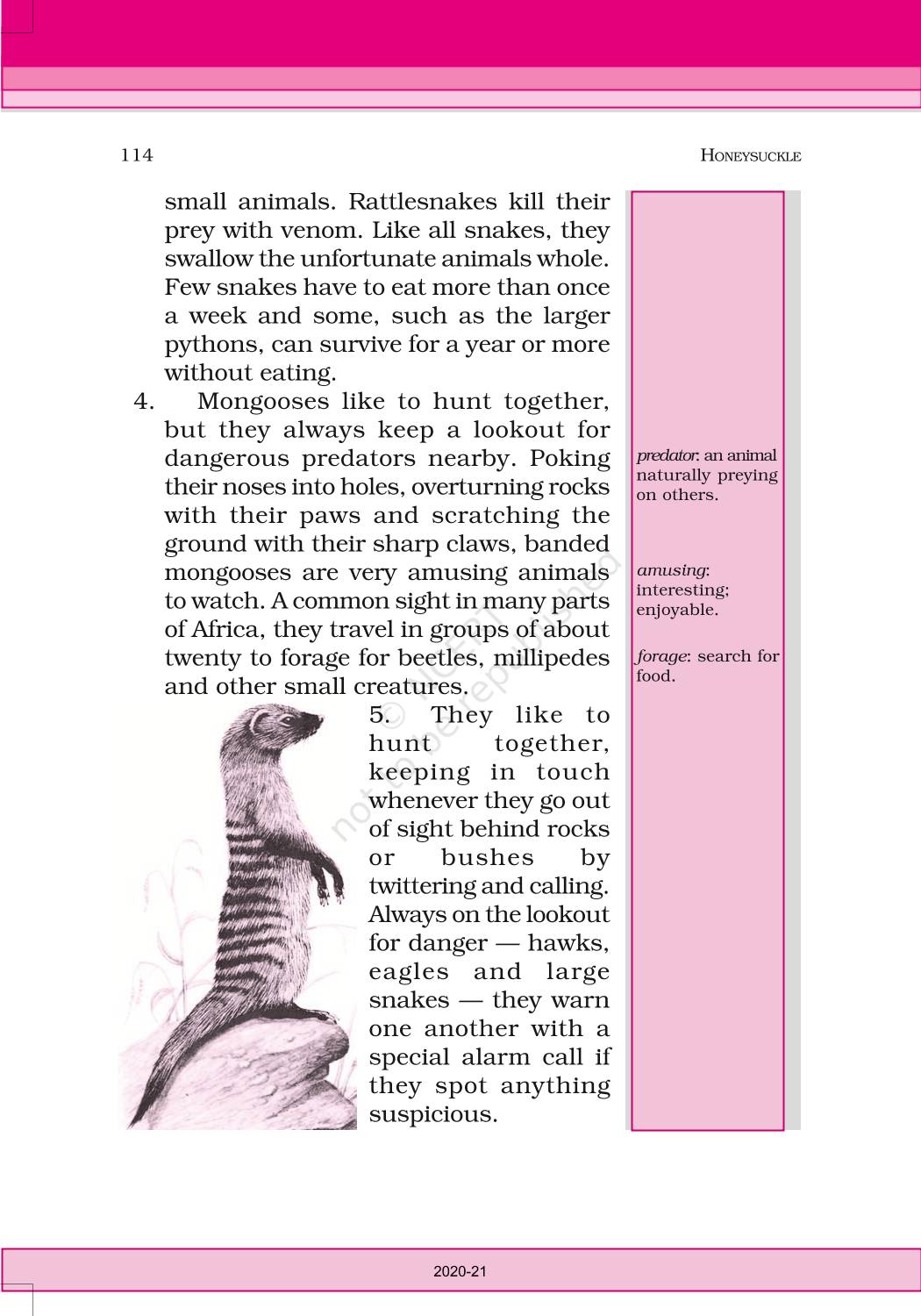 Desert Animals NCERT Book of Class 6 English Honeysuckle